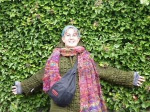 2009_12_18_SpikeAndLeafWall There are many hedges-for-fences here.