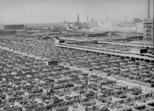 AmarilloStockyards